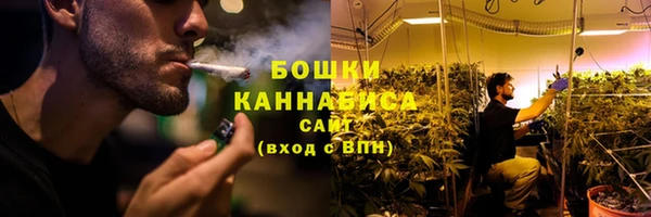 spice Гусь-Хрустальный