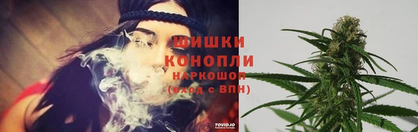 spice Гусь-Хрустальный