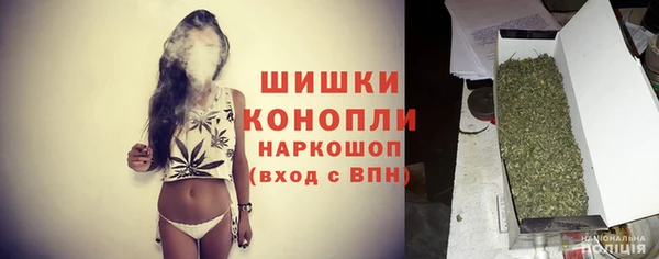 spice Гусь-Хрустальный