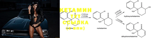 spice Гусь-Хрустальный