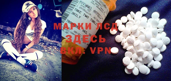 ALPHA PVP Гусев