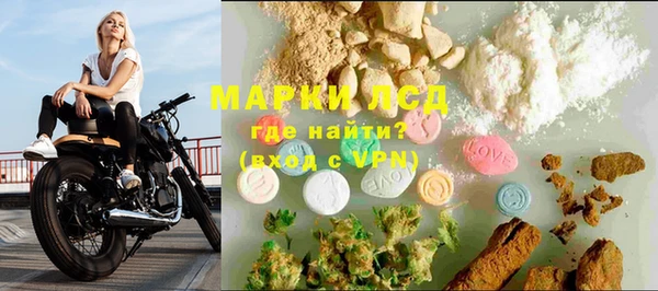 ALPHA PVP Гусев
