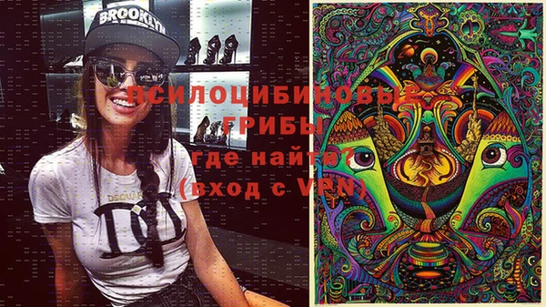 spice Гусь-Хрустальный
