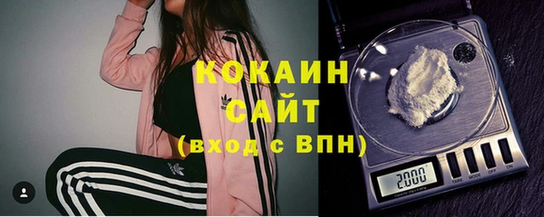 шишки Ханты-Мансийск