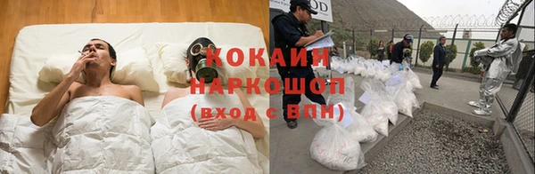 ALPHA PVP Гусев
