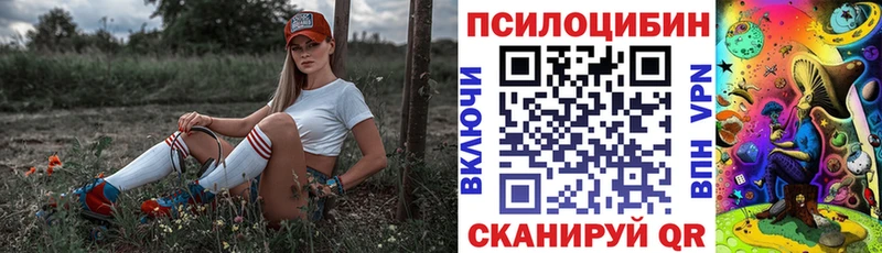 ОМГ ОМГ ссылки  Павловск  Галлюциногенные грибы Psilocybe 